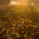 Illustration for article titled Hong Kong Protests Draw emResident Evil/em Comparisons